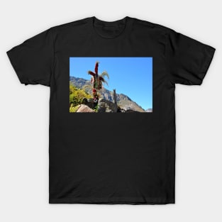 Pérou Arequipa - Canyon de Colca T-Shirt